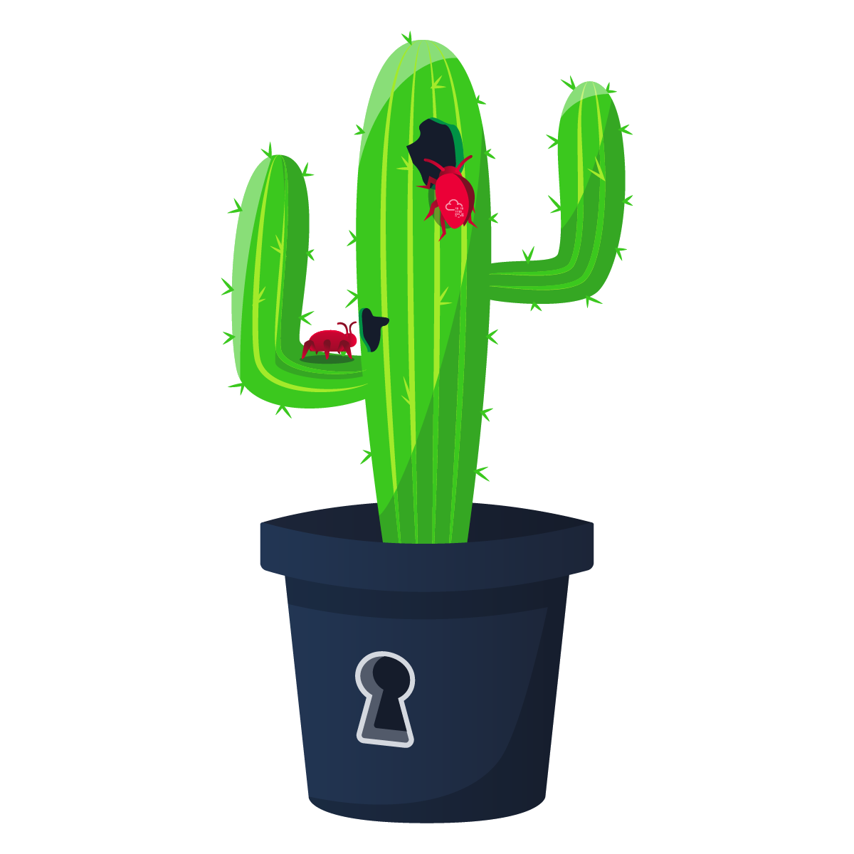 Cactus