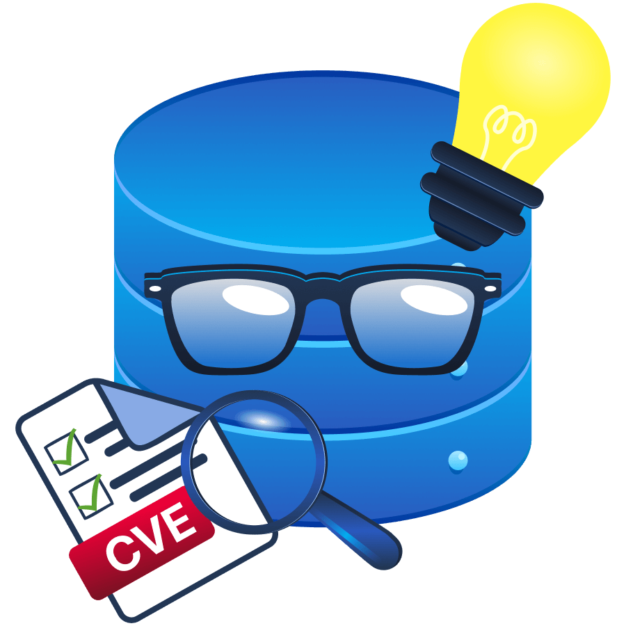 Understanding Vulnerability Databases