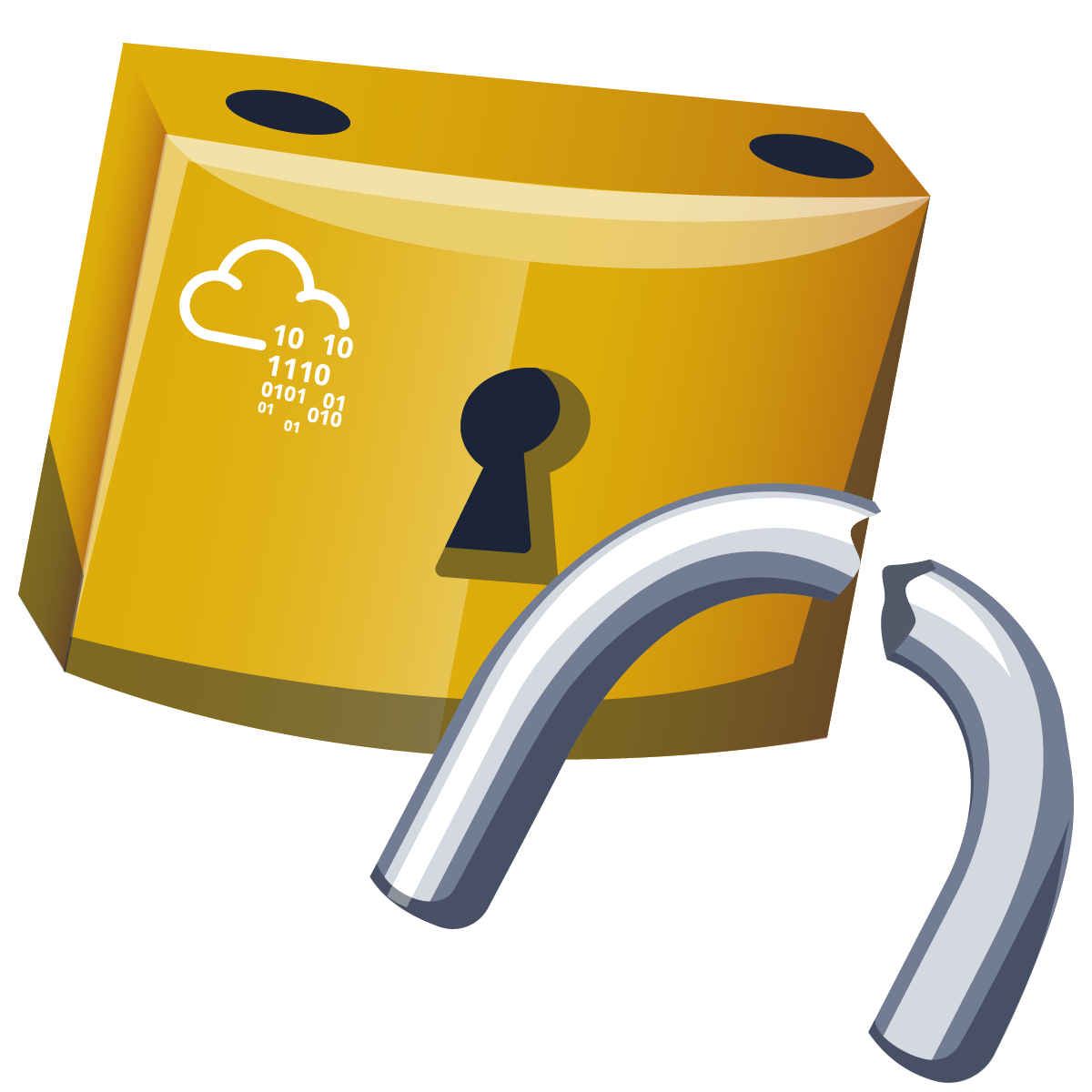 Broken Access Control