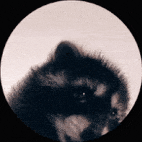 User profile photo.