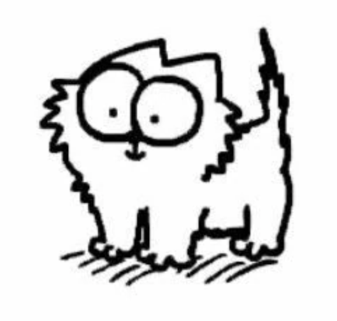 User profile photo.