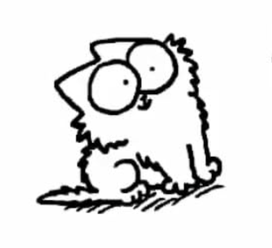 User profile photo.