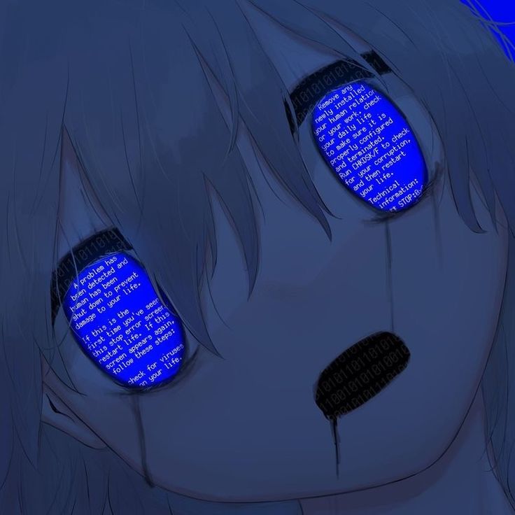 User profile photo.