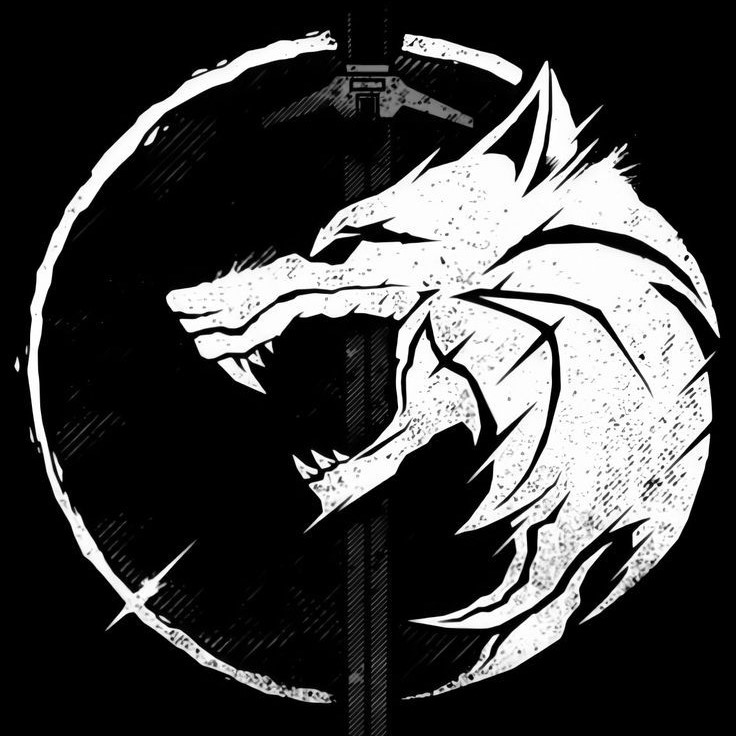 User profile photo.