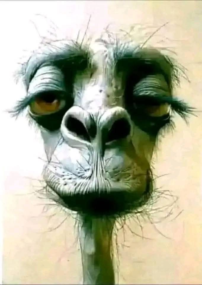 User profile photo.