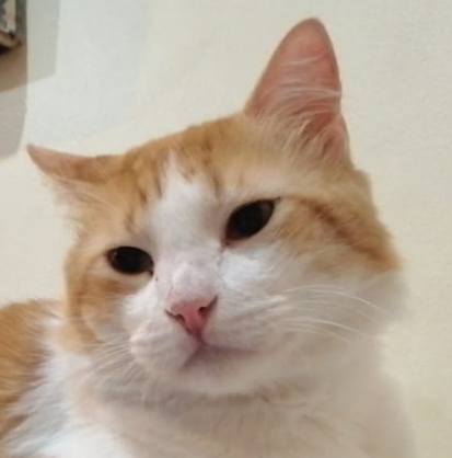 User profile photo.