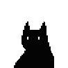User profile photo.