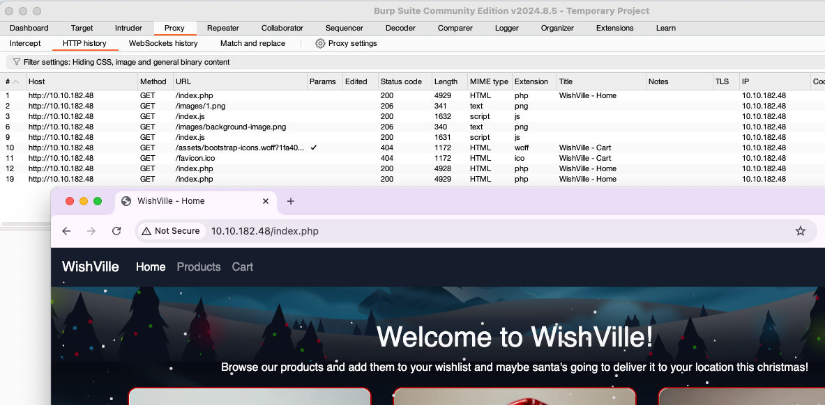 HTTP history tab of Burp.