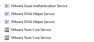 Task viewer in the guest operating system showing the VMWare Guest Additions process