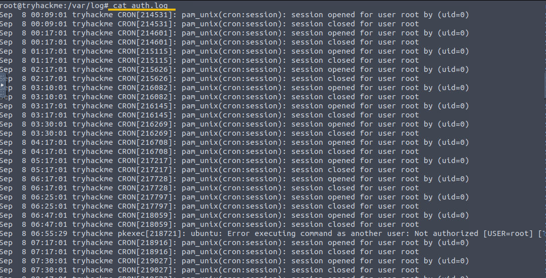 Shows auth.log content