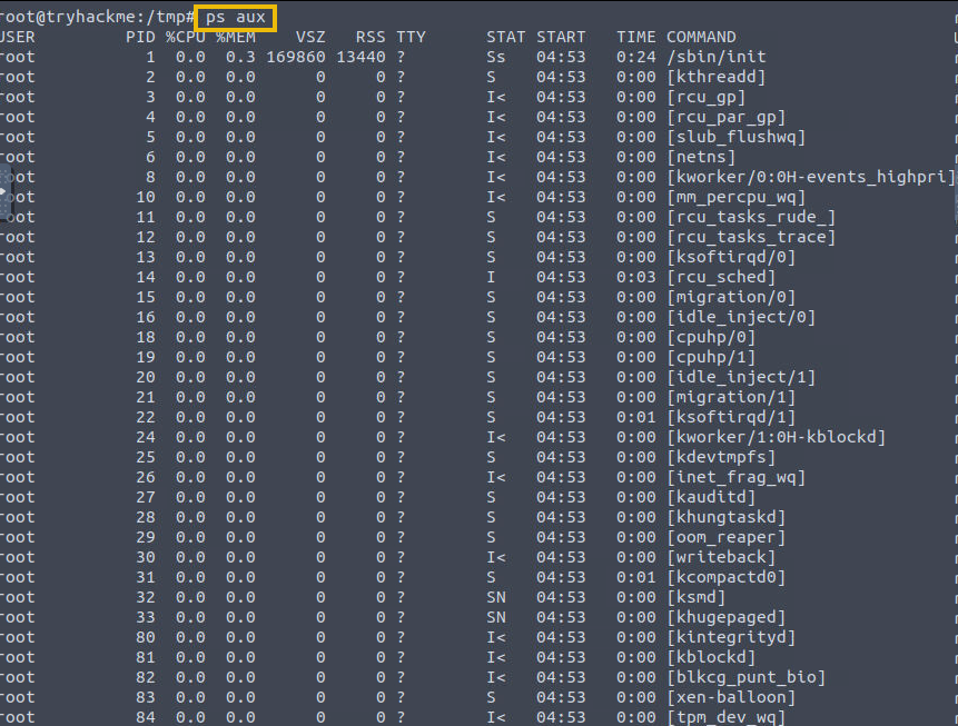 Shows ps aux output