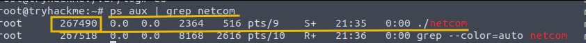 Shows Nework connection information