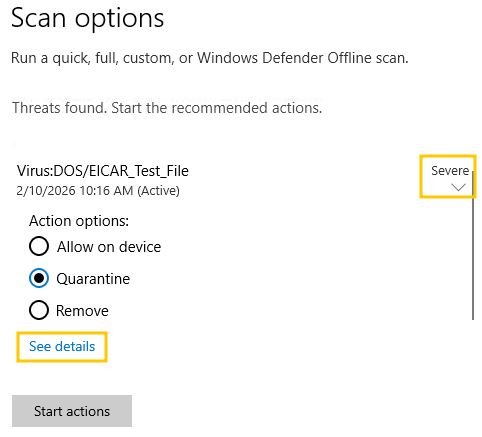 A screenshot of the scan options page in Windows security highlighting the severity level and see details option.