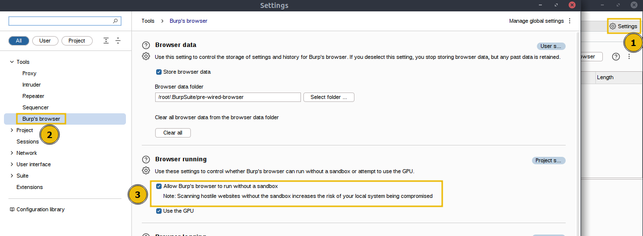Enabling Burp browser settings