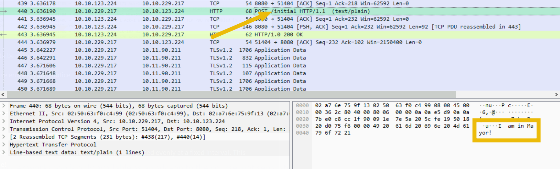 Packet Bytes pane