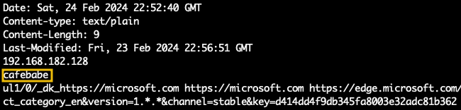 the image shows the content of the key on the HTTP transaction cafebabe