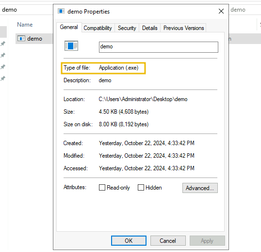 checking properties of demo.exe