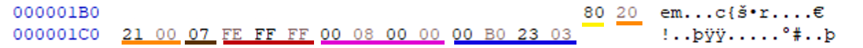 One of the partitions from the partitions table shown in hex.