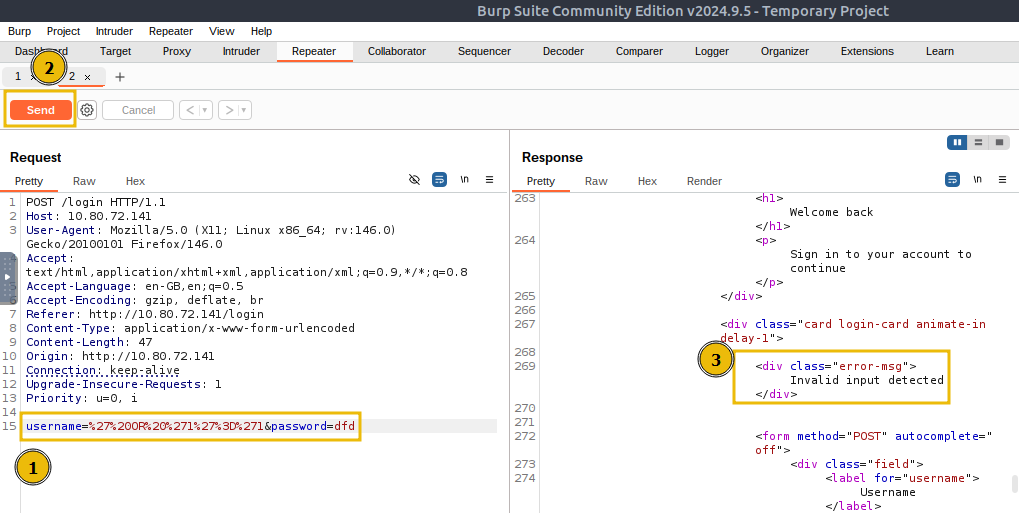 Invalid input detected in Burp Suite.